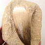 Hainosaurus boubker tooth 18a