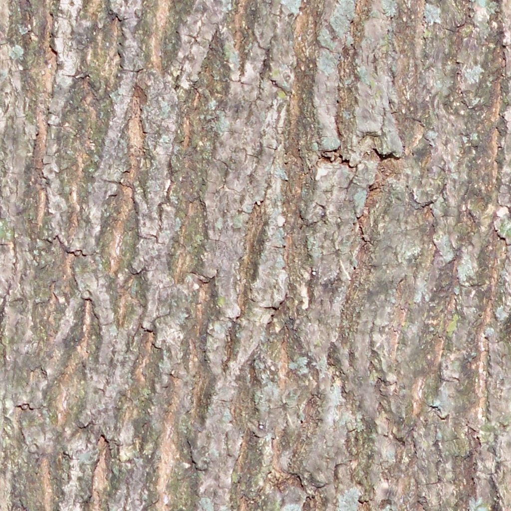 seamless tiled bark texture