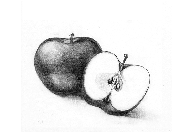 photo Pencil Sketch Easy Apple Shading apple shading practice by pentoculus on