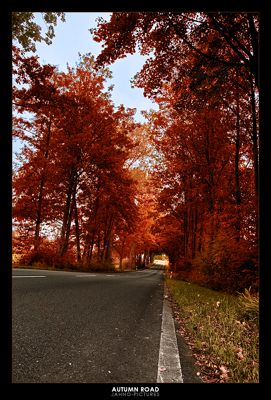 autumn road