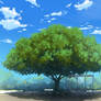 Bus Stop Near Tree