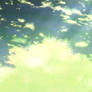 Summer Grass