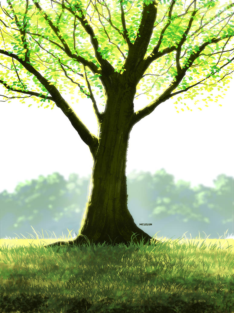 Tree by mclelun on DeviantArt