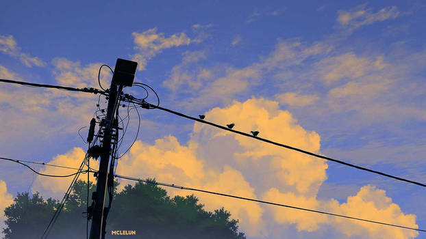 Street Light and Bird