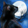 Black Cat Moonstruck Mondsuechtig