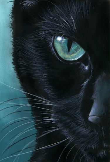black Cat Portrait - Turquoise Eyes