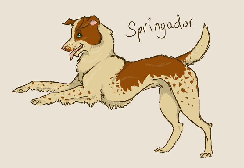 SPRINGADOR by grey-heart on DeviantArt