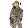 101 Airborne (Air Assault) Afghanistan colored