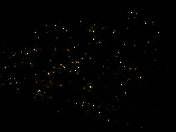 White Christmas Light Texture