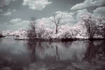 Infrared Photography River by Wallcrawler62