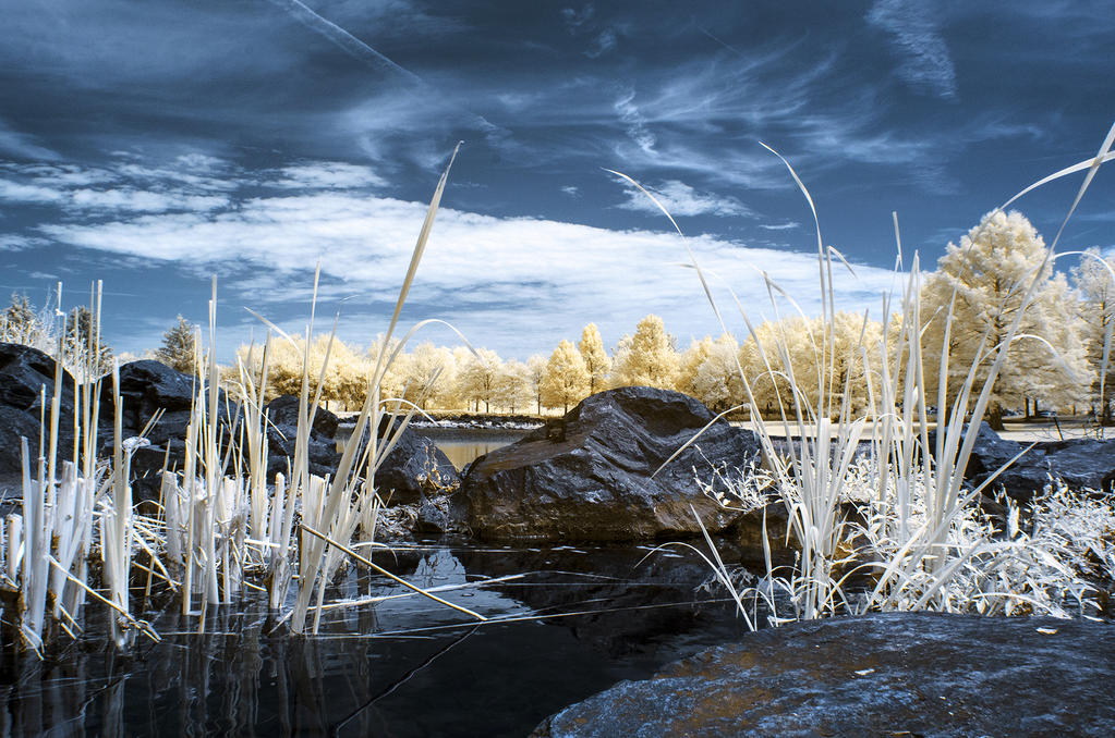 Infrared Reeds