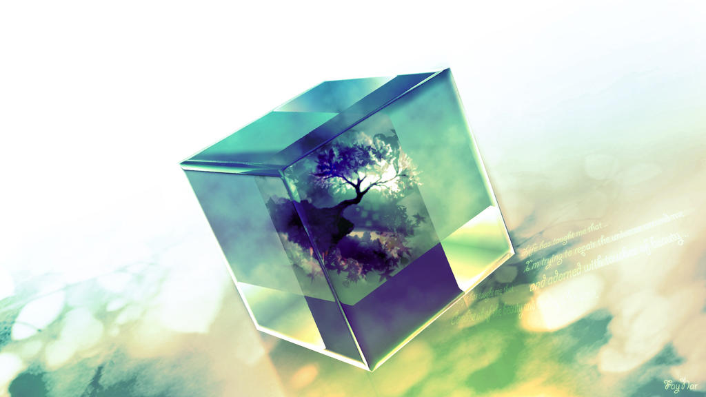 The Cube of Life