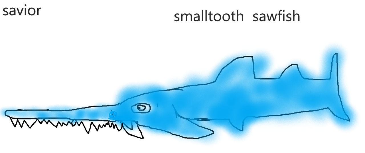 Tooth Savior Smalltooth Sawfish by saviorarttrex on DeviantArt