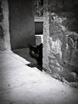 Psycho Killer by MarinaCoric