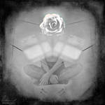 Rose by MarinaCoric
