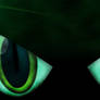 Queen Chrysalis eyes