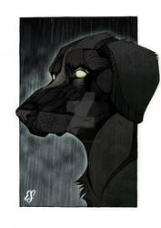 The Black Dog