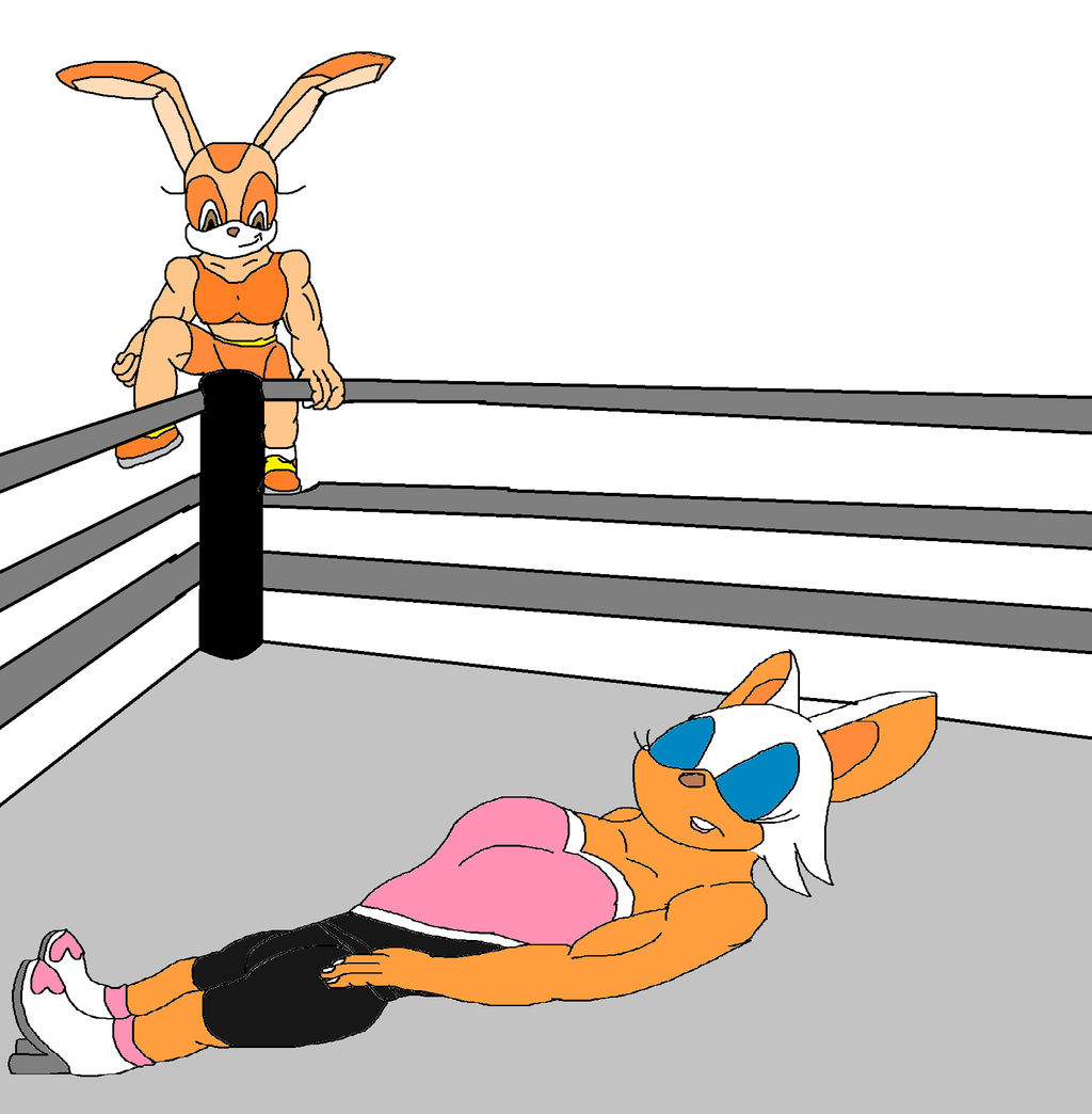 Cream Vs Rouge Wrestling Cream vs Rouge 2 by starfoxfan111 on DeviantArt