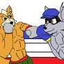 Boxing Fox vs Sly