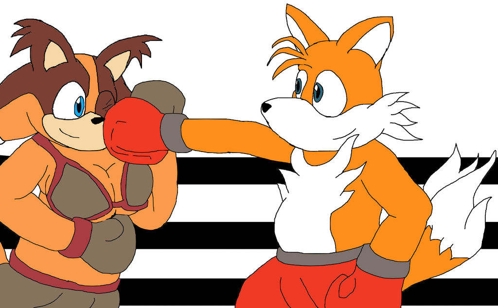Deviantart Tails Boxing boxing Sticks vs Tails by starfoxfan111 on DeviantArt