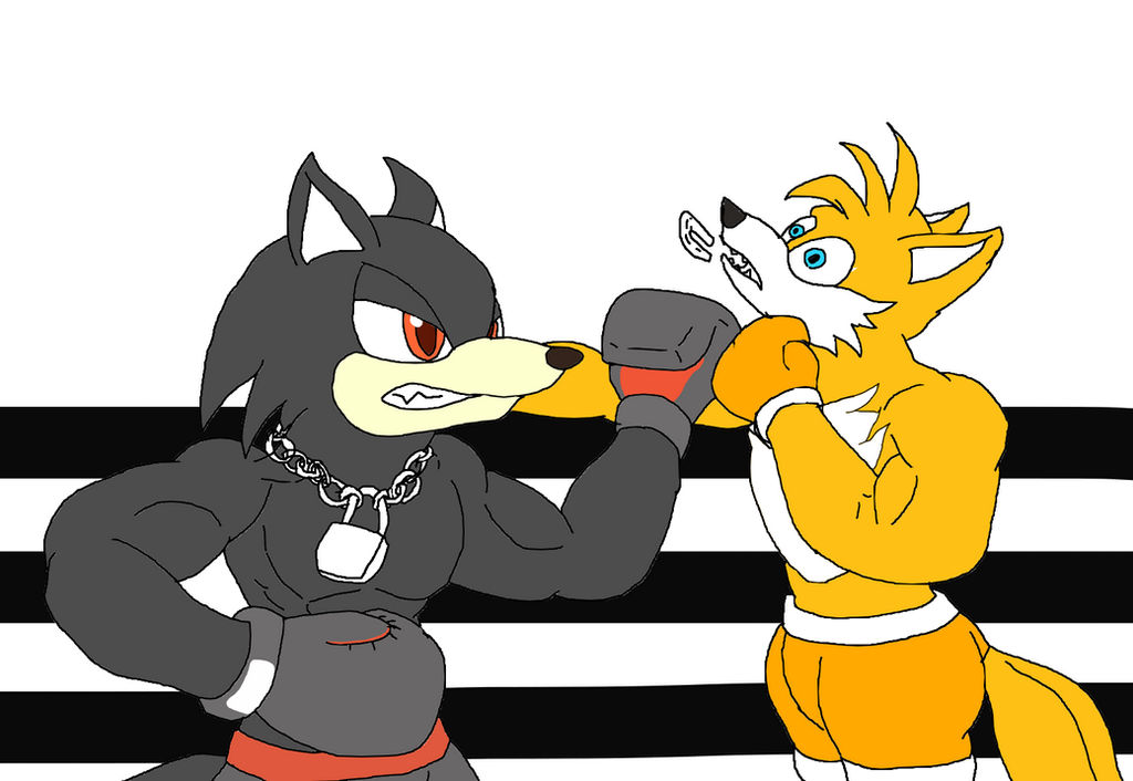 Deviantart Tails Boxing boxing Phil vs Tails by starfoxfan111 on DeviantArt
