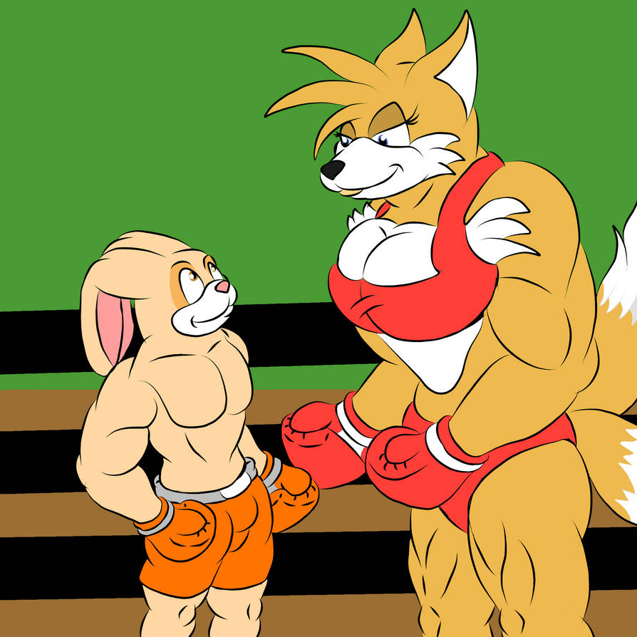 Deviantart Tails Boxing gender swap boxing match Tails vs Cream by starfoxfan111 on DeviantArt