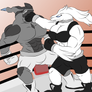 Boxing Reshiram vs Zekrom