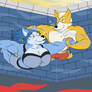 Fox and Krystal swimming together