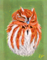 A Foxy Owl