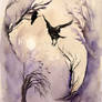 Mystics With Crows
