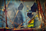 Dying Sun by Alharaca