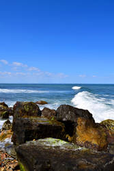 Montauk Waves