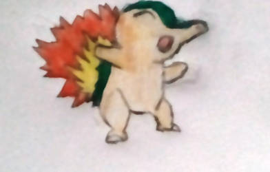 My sorta-okay Cyndaquil named Orin.