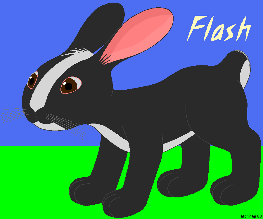Flash the bunny