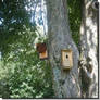 The Most Important Factors of Making Bird Houses