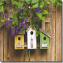 How to Make Birdhouse Plans for Kids