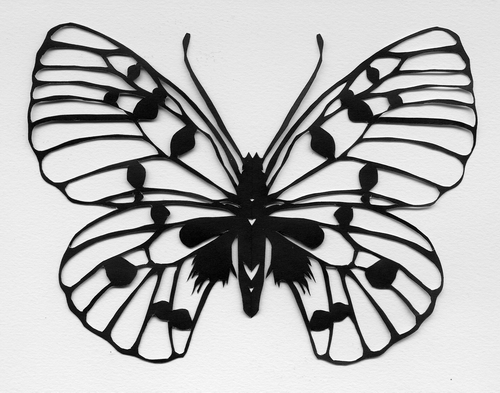 Butterfly I