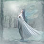 Winter Fairy