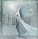 Winter Fairy by CaryAndFrankArts