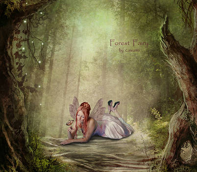 Forest Fairy