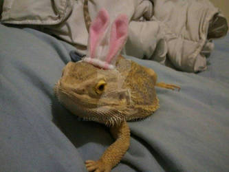 Easter Dragon