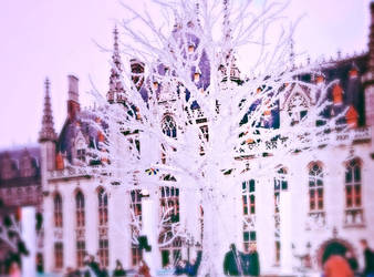 Bruges outdoor ice rink