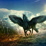 Pegasus: return to Olympus