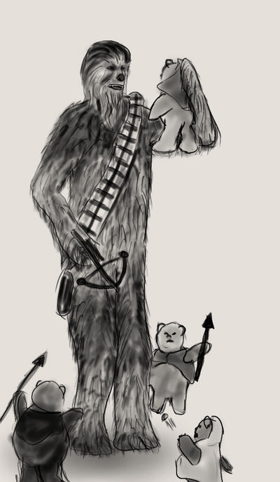 DSC - Chewbacca