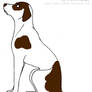 Dalmation for Desert rose Kennels