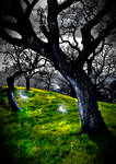 Play by RushinRussian486