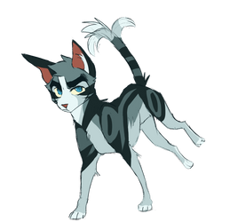 Jayfeather Sketch