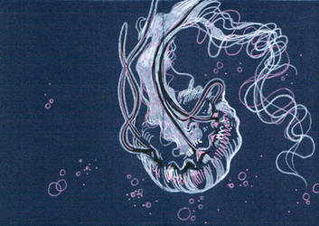 Jellyfish postcard