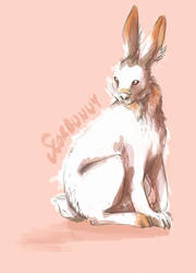 Scorbunny