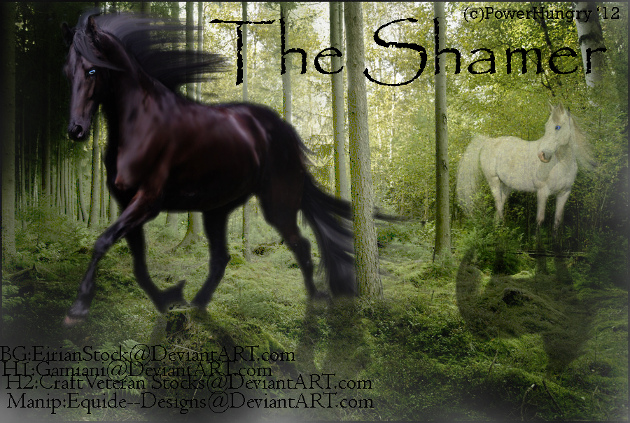 Manipulations-Comission-The Shamer